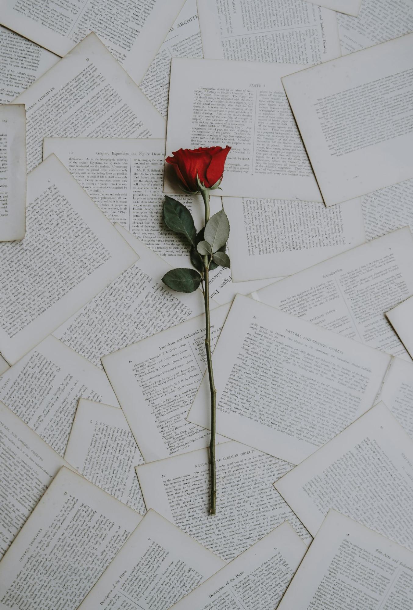 Rose over papers of poems