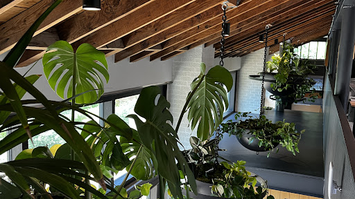 Photo from customer review