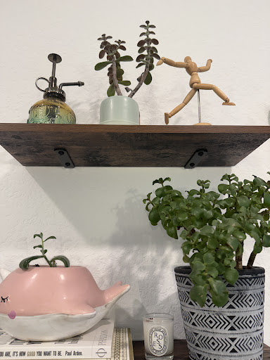 Photo from customer review