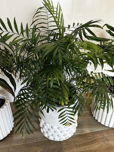 Photo from customer review